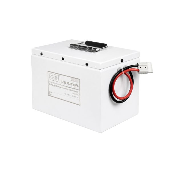 پک باتری اسکرابر 38.4V ،166Ah
